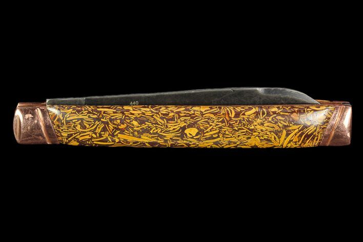 Folding Knife With Inlaid Fossiliferous Ironstone #127599